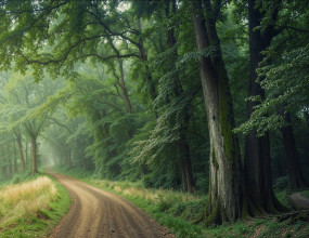 Q. 당법인은 만화카페를 창업하고 인테리어공사 중에 있습니다. 만화카페는 이용료는 면세매출이고 식음료는 과세매출인데, 2024년 10월~12월말까지 공사진행 예정이라 매출은 발생하지 않았습니다. 이러한 경우 어떤 기준으로 매입세액을 안분계산해야 하는 것인지 궁금합니다.A. 사업자가 과세사업과 면세사업등을 겸영하는 경우에 과세사업과 면세사업등에 관련된 매입세액의 계산은 실지귀속에 따라 하되 실지귀속을 구분할 수 없는 매입세액은 총공급가액에 대한 면세공급가액의 비율 등을 적용하여 「부가가치세법」 제40조 및 같은 법 시행령 제81조에 따라 안분하여 계산하여야 하는 것입니다.이 때, 부가가치세법 시행령 제81조 제4항 각 호의 예정공급가액 등에 있어 “예정”은 사업자가 각 과세기간에 공통매입세액을 안분계산함에 있어서 공통매입세액과 관련된 공급가액이 실제로 확정될 과세기간에 과세, 면세사업으로부터 발생이 예상되거나 과세, 면세사업으로 사용이 예상되는 것을 말하는 것인 점 참고하시기 바라겠습니다.참고로 총공급가액에 대한 면세공급가액의 비율을 계산할 수 없어 예정공급가액 비율로 공통매입세액을 안분계산한 경우 과세사업과 면세사업의 공급가액이 확정되는 과세기간에 대한 납부세액을 확정신고하는 때에 정산하게 되며, 정산은 아래와 같이 계산합니다.○ 매입가액 및 예정공급가액의 비율로 매입세액을 안분계산한 경우 가산되거나 공제되는 세액= 총공통매입세액 x (1 - 과세사업과 면세사업등의 공급가액이 확정되는 과세기간의 면세공급가액/과세사업과 면세사업등의 공급가액이 확정되는 과세기간의 총공급가액) - 이미 공제한 세액○ 예정사용면적에 따라 매입세액을 안분 계산한 경우 가산되거나 공제되는 세액= 총공통매입세액 x (1 - 과세사업과 면세사업등의 사용면적이 확정되는 과세기간의 면세사용면적/ 과세사업과 면세사업등의 사용면적이 확정되는 과세기간의 총사용면적) - 이미 공제한 세액관련규정 : 부가가치세법 제40조[공통매입세액의 안분], 부가가치세법 시행령 제81조[공통매입세액 안분 계산]&nbsp;